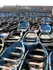 Marocco_06_Essaouira_Port_075.jpg (108kb)