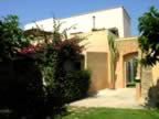 Pugli05_LiFoggi_20.jpg (78kb)