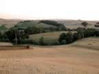 Toscana_mix_22.jpg (69kb)